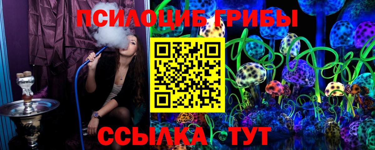 Псилоцибиновые грибы прущие грибы Кубинка
