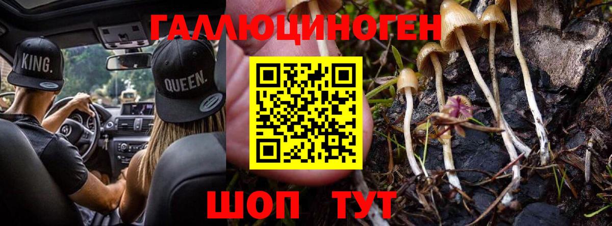 как найти закладки  Псилоцибиновые грибы мухоморы  Кубинка  Вход с VPN  Псилоцибиновые грибы Psilocybine cubensis 